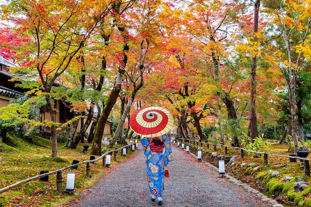 Gratis foto aziatische vrouw die japanse traditionele kimono draagt die in de herfstpark loopt.