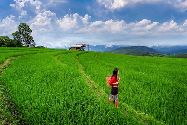 Aziatische vrouw die thaise cultuur traditioneel draagt bij rijstterras van ban pa bong piang in chiang mai, thailand