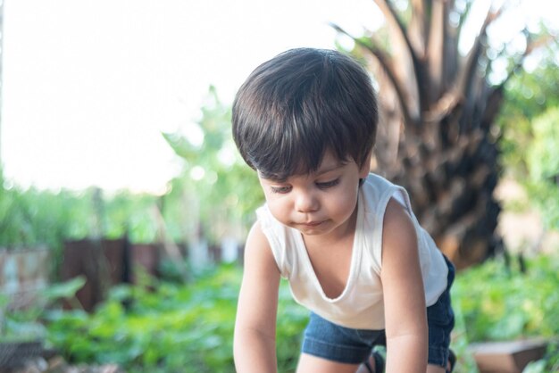 Babyjongen met blauwe ogen die in de achtertuin speelt