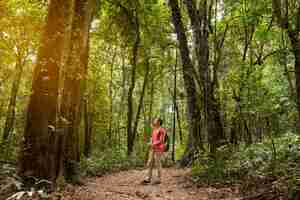 Gratis foto backpacker bewonderen bos