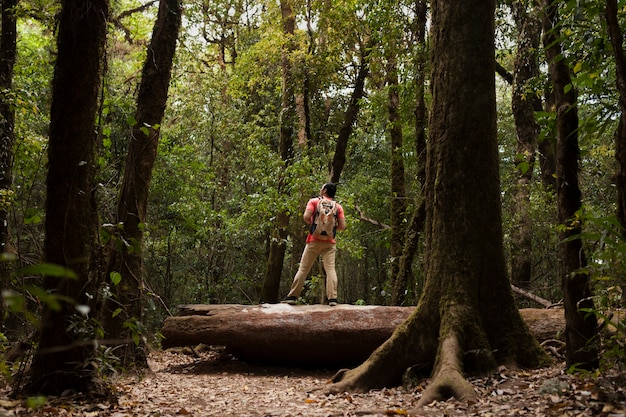 Gratis foto backpacker staan ​​op de boomstam