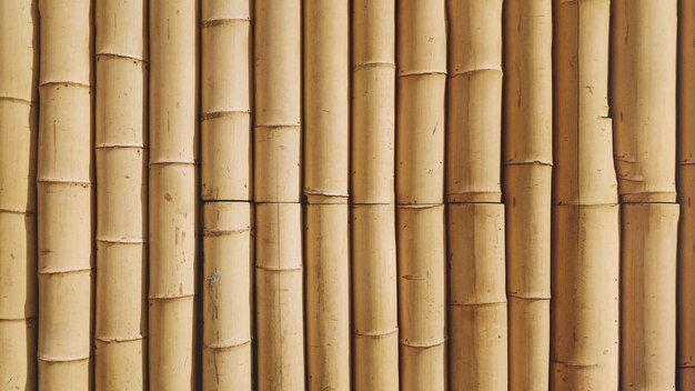 Bamboe achtergrondstructuur