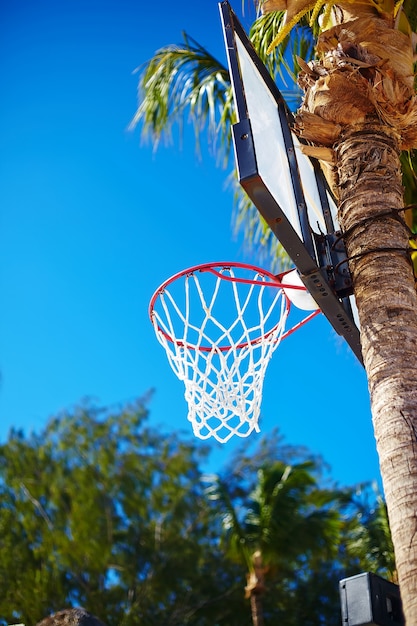 Basketbal bord ring op zomerdag op blauwe hemel en groene boom palm