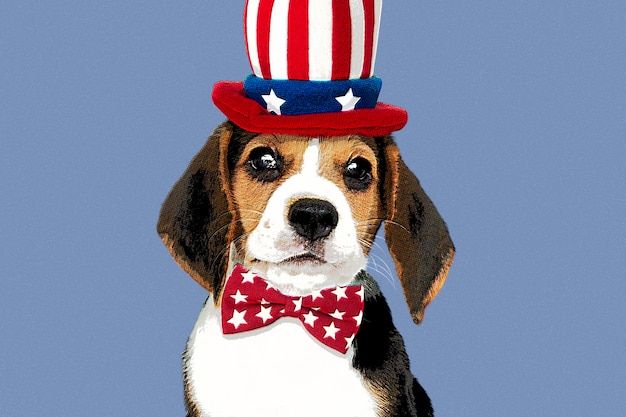 Beagle met hoed in pop-artstijl