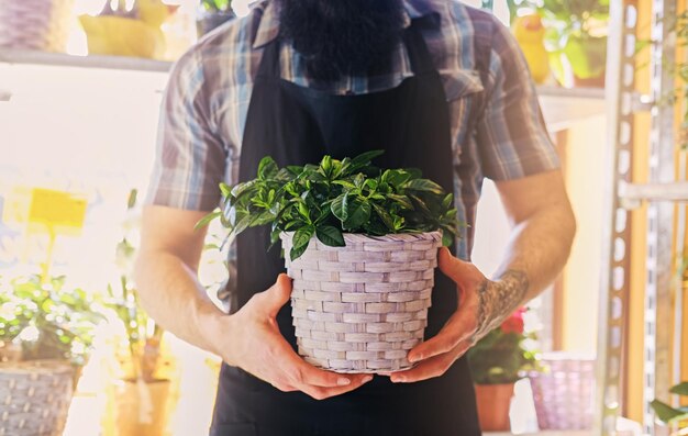 Bebaarde man met getatoeëerde armen houdt een pot met bloemen vast.