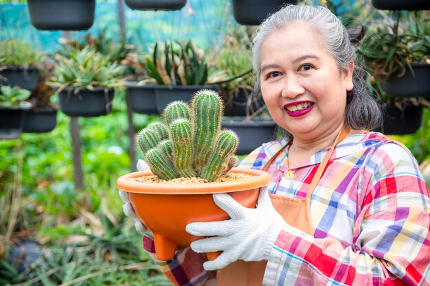 Bejaarde die integriteit van cactusboom bekijkt