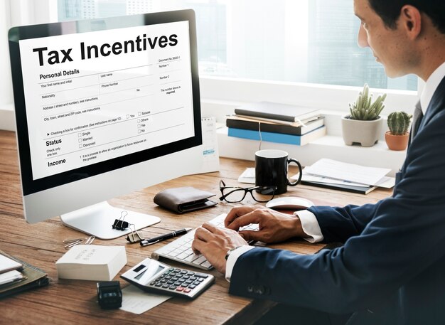 Belastingincentive Audit Voordeel Contant Betaling Inkomen Concept