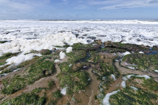 Gratis foto bemost zand aan de kust van de zee