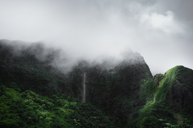 Berg bedekt met mist