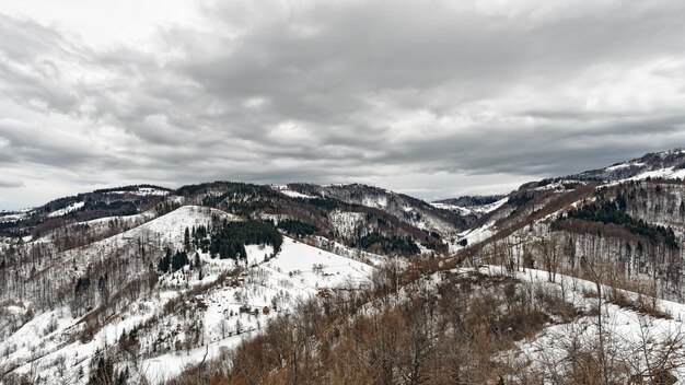 Berg Zlatibor, Servië in de winter.