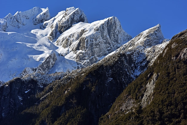 Bergen en bossen overdag