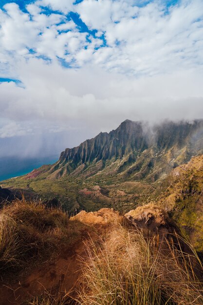 Bergen in het Koke'e State Park in Hawaï