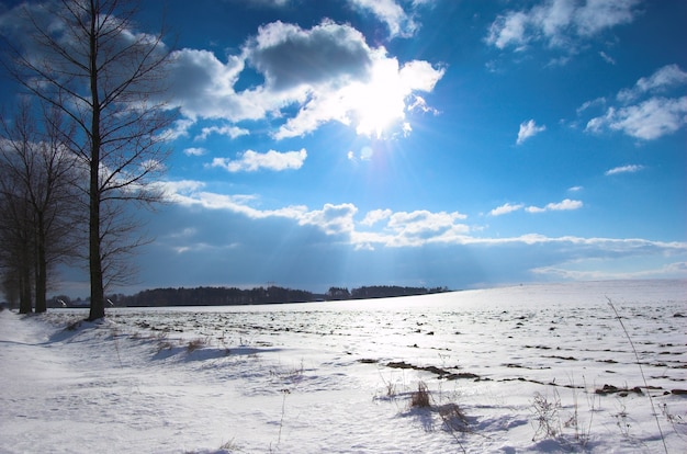 besneeuwde berg