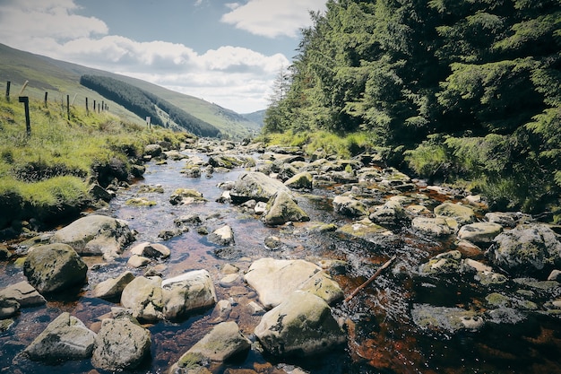 Betoverend landschap van een stroom van de Wicklow-berg