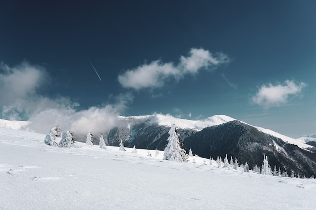 Betoverend uitzicht op de Karpaten bedekt met de sneeuw in Roemenië