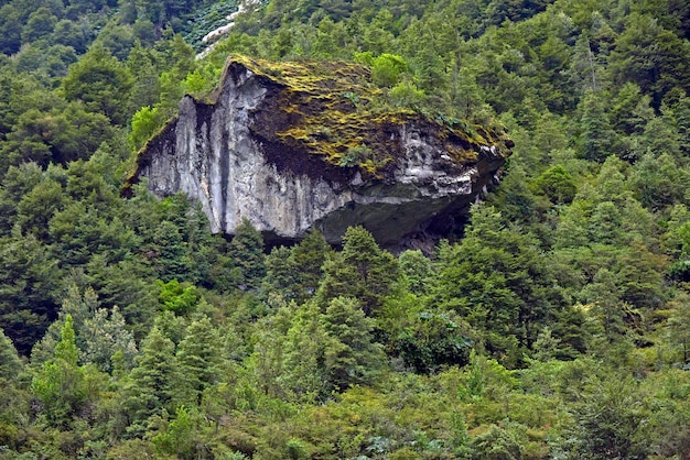 Gratis foto betoverend uitzicht op de rotsachtige berg bedekt met bomen