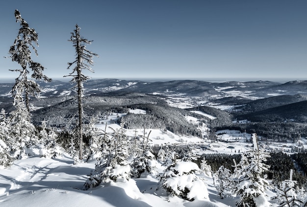 Gratis foto betoverend uitzicht op de velden met heuvels bedekt met sneeuw onder de blauwe lucht