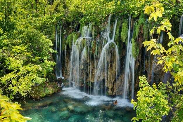 Betoverend uitzicht op het Nationaal Park Plitvicemeren in Kroatië