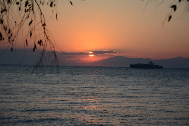 Betoverend uitzicht op het schip in de oceaan tijdens zonsondergang met boomtakken op de voorgrond