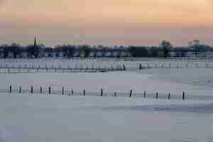 Gratis foto betoverend winterlandschap bedekt met donzige sneeuw in nederland
