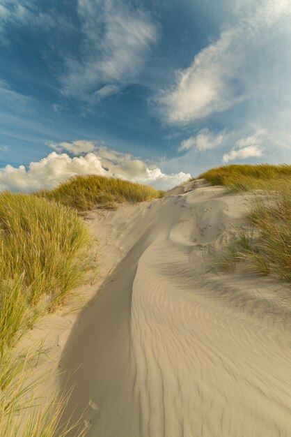 Betoverende opname van een vredig strand onder de blauwe lucht