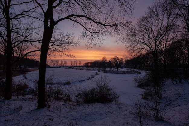 Betoverende zonsondergang nabij het historische kasteel Doorwerth tijdens de winter in Holland