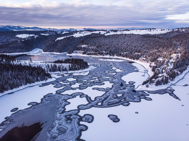 Bevroren meer met bergen en bossen bedekt met sneeuw in Transsylvanië Roemenië