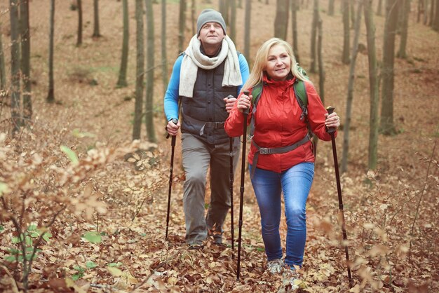 Bewegen op een heuvel in het bos