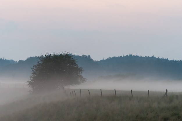 Bewolkte lucht