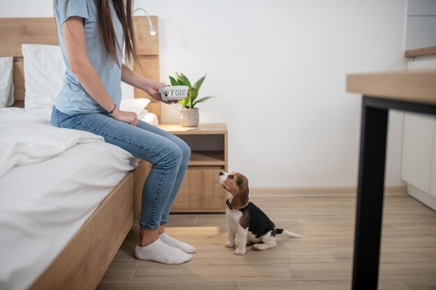 Bijgesneden foto van een huisdiereigenaar die een kom met hondenvoer vasthoudt voor de schattige puppy