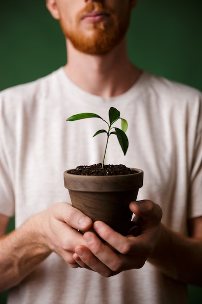 Gratis foto bijgesneden foto van roodharige bebaarde jonge man, met potplant