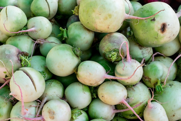 Biologische markt verse witte radijs oppervlak