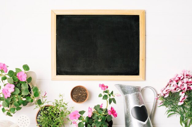Blackboard met bloempotten en gieter