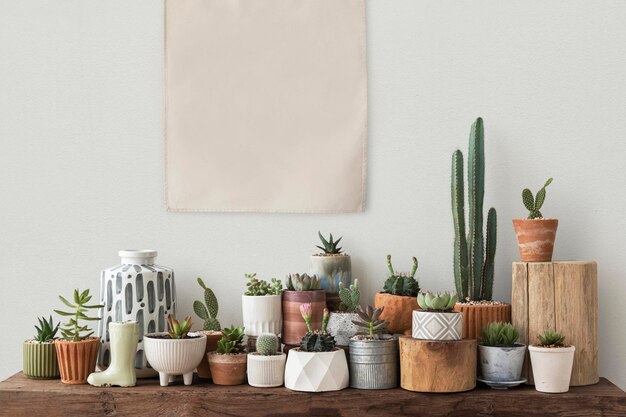 Blanco canvas poster die over een plank vol cactussen en vetplanten hangt