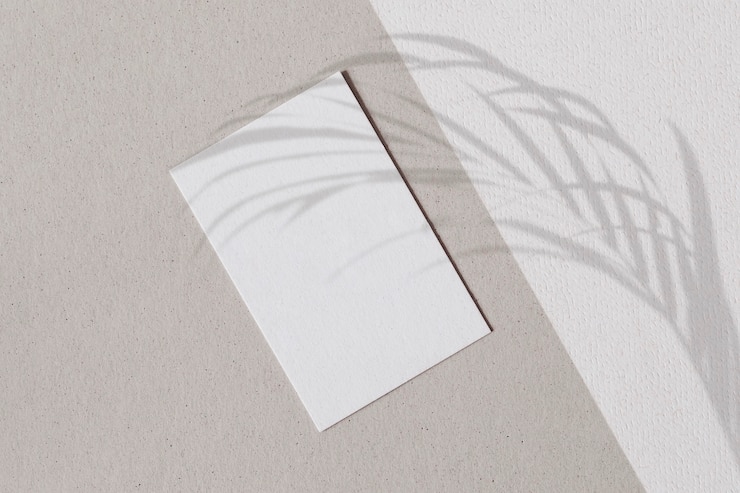 Gratis Foto blank wit papier met palmbladeren schaduw op een twee-toon muur