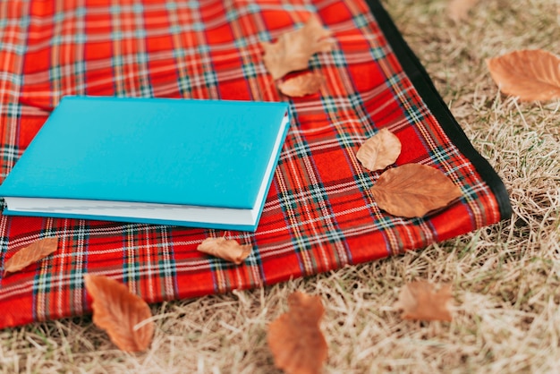 Blauw boek op picknickkleed met kopie ruimte