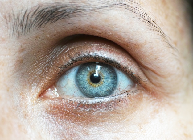 Blauw oog close-up