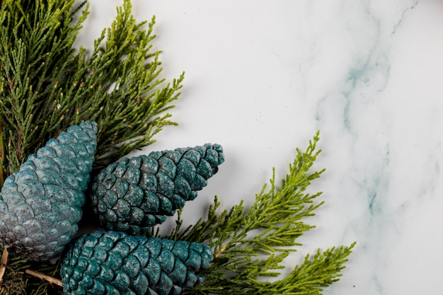 Blauw zilver eiken boom kegels op een groene tak in de hoek.