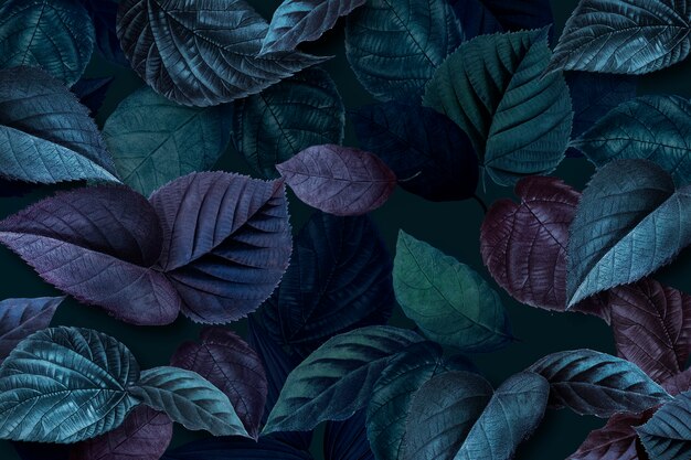Blauwachtige plant verlaat getextureerd