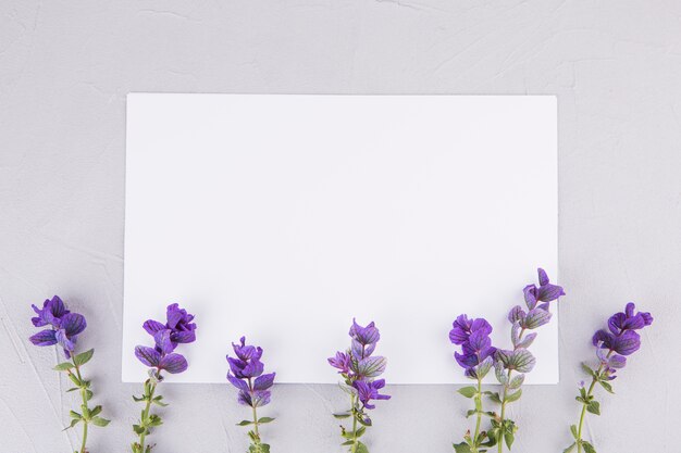 Blauwe bloemen met blanco papier op tafel