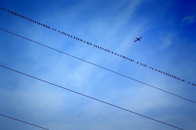 Blauwe lucht en vliegtuig