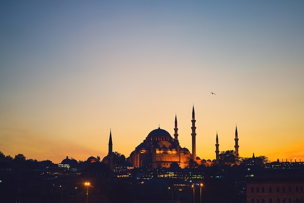blauwe moskee in Istanboel
