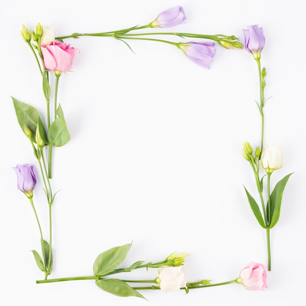 Gratis foto bleke bloemen vormen een rechthoekig frame