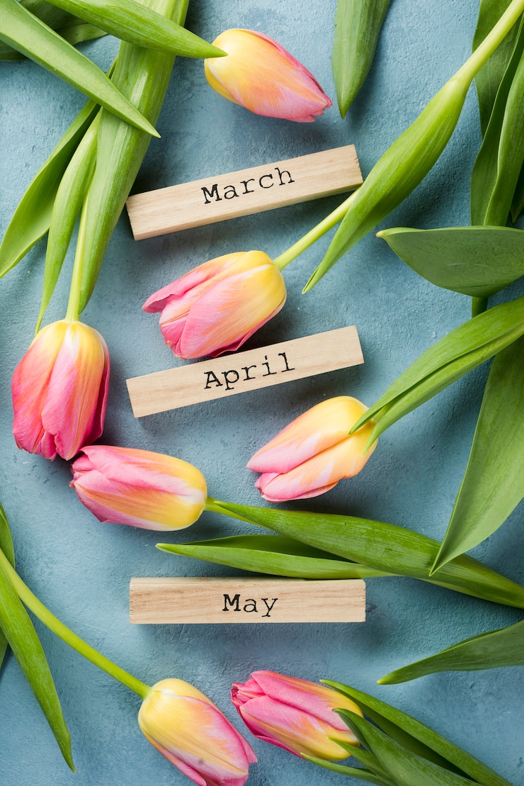 Gratis Foto bloeiende tulpen met lente maanden tags