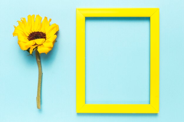 Bloem en frame