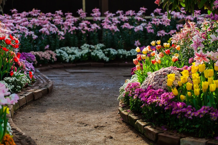Gratis Foto bloem