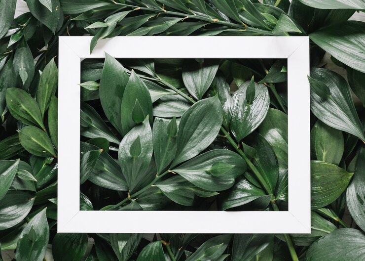 Gratis Foto bloemen achtergrond