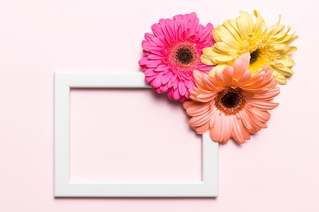 Gratis foto bloemen en frame