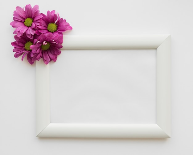 Gratis foto bloemen naast frame