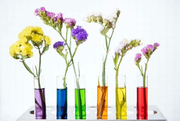 Bloemen op een rij van testubes met verschillende gekleurde waterdecoratie en wetenschapsexperimentconcept